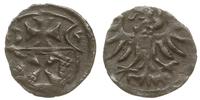 denar 1555, Elbląg, ładny, Kop. 7099 (R3), Tyszk