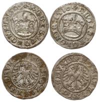 Polska, zestaw: 2 x półgrosz koronny, 1509, 1510
