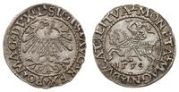 Polska, półgrosz, 1559