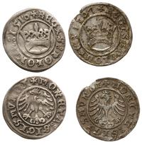 Polska, zestaw: 2 x półgrosz koronny, 1507 i 1510