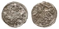 Polska, denar, 1559