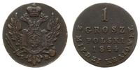 1 grosz z miedzi krajowej 1824 IB, Warszawa, odm