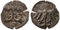 denar, Kubiak typ III, srebro 12 mm