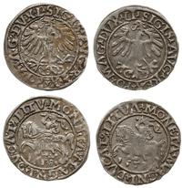 2 x półgrosz litewski 1558, Wilno, razem 2 sztuk
