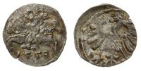 denar 1558, Wilno, ładny blask menniczy, Ivanaus