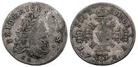 6 groszy 1709/C.G., Królewiec, rzadkie