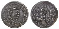 trojak  1586, Ryga, Mała głowa króla., Ciemna pa