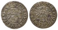Prusy Książęce 1525-1657, szeląg, 1559