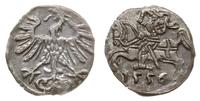 denar 1556, Wilno, ogon Orła szerszy, cyfry daty