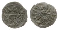 denar 1556, Elbląg, ładnie zachowany i rzadki, p