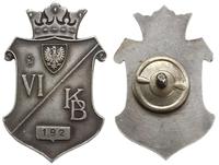 odznaka VI Okręgu Korpusu Bezpieczeństwa, odznak