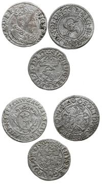 Polska, zestaw: 1 x szeląg 1592 Malbork, 1 x szeląg 1589 Olkusz, 1 x grosz 1625 Gdańsk