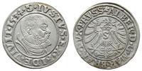 grosz 1534, Królewiec, na rewersie PRVSS, moneta