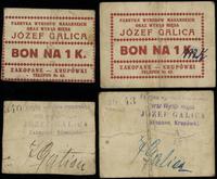 Galicja, zestaw: 1 x bon na 1 koronę i 1 x bon na 1 koronę / markę, 1919