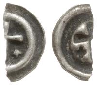 Zakon Krzyżacki, fragment brakteata, ok. 1317-1328