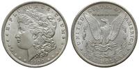 1 dolar  1900, Filadelfia, Liberty Head, pięknie