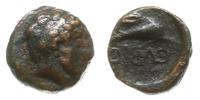 brąz AE-8 325-320 pne, Aw: Głowa Apollina w praw
