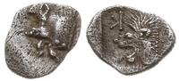 obol 450-400 p.n.e., Aw: Dzik w lewo, Rw: Głowa 