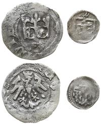 zestaw: półgrosz i denar, półgrosz, lata 1416-14