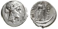 denar 42 pne, Rzym, Aw: Głowa Apolla w wieńcu la