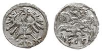 denar 1555, Wilno, bardzo ładny i dość rzadki, I