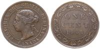 1 cent 1901, Londyn, brąz, KM 7