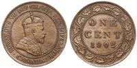 1 cent 1902, Londyn, brąz, czyszczone, KM 8