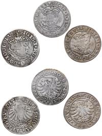 Polska, zestaw: 3 x grosz, roczniki: 2 x 1529, 1 x 1532