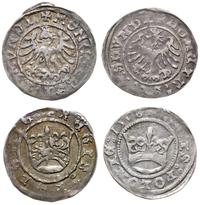 Polska, zestaw: 2 x półgrosz koronny (1508 i bez daty)