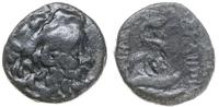 brąz ok. 133-27 pne, Aw: Głowa Asklepiosa w praw