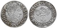 grosz 1557, Gdańsk, duża głowa króla, końcówka n