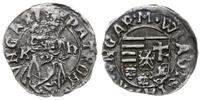 denar bez daty (1500-1502), Kremnica, w polu na 