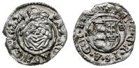 denar 1622/KB, Kremnica, z ładnym blaskiem menni
