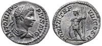 denar 206, Rzym, Aw: Głowa cesarza w prawo i nap