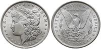 Stany Zjednoczone Ameryki (USA), dolar, 1896