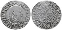 grosz  1544, Królewiec, Henckel 3149, Slg. Marie