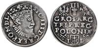 trojak 1589, Poznań, moneta wyczyszczona, ciemna