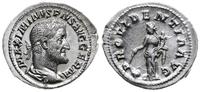 Cesarstwo Rzymskie, denar, 236