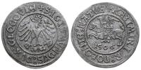 grosz głogowski  1506, Głogów, moneta królewicza