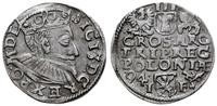trojak 1594, Poznań, szeroka twarz króla, odmian