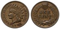 cent 1905, Filadelfia, bardzo ładny