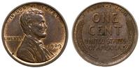 cent 1909 VDB, typ Lincoln, bardzo ładny