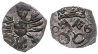 denar 1606, Poznań, piękny, Kop. 7957 (R5), Tysz