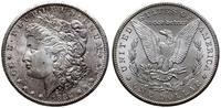 1 dolar 1884 CC, Carson City, typ Morgan, rzadsz