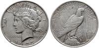 1 dolar 1923, Filadelfia, typ Peace