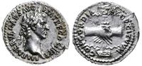 Cesarstwo Rzymskie, denar, 97