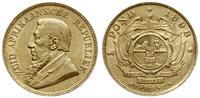 funt (1 pond) 1898, prezydent Paul Krüger, złoto