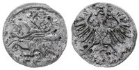 denar 1555, Wilno, Ivanauskas'09 2SA13-6, Kop. 3