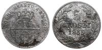 5 groszy 1835, Wiedeń, patyna, Bitkin 3, Plage 2
