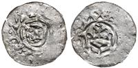 denar II. połowa XI w., Głowa brodatego mężczyżn
